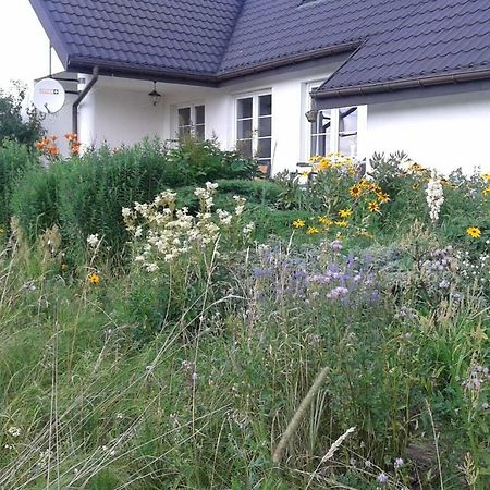 Bizon Guest House Sadowne Exterior foto