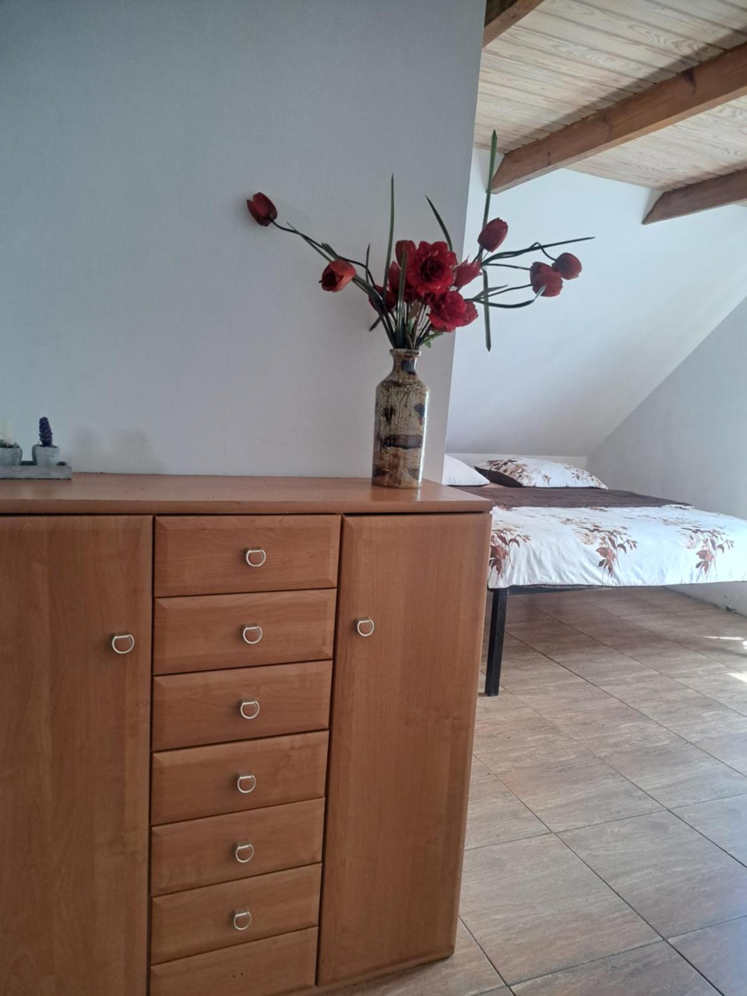 Bizon Guest House Sadowne Exterior foto