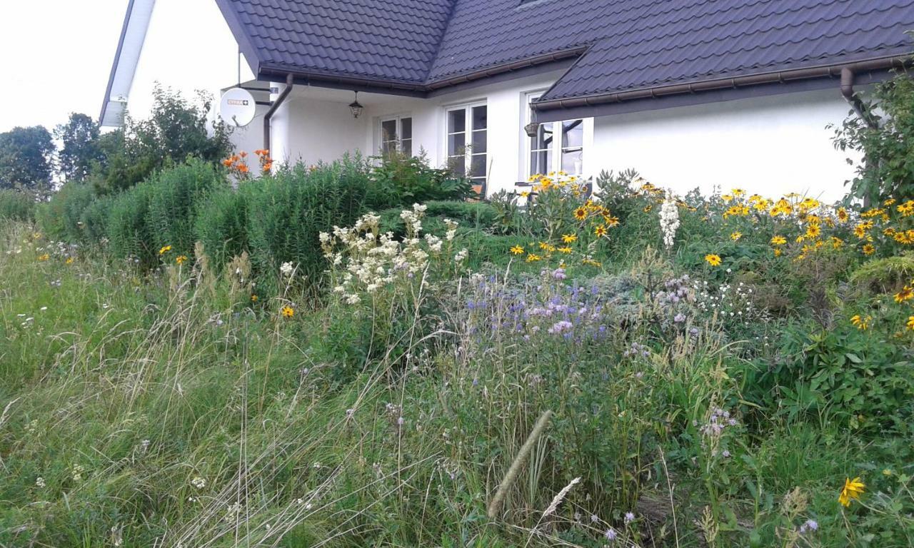 Bizon Guest House Sadowne Exterior foto